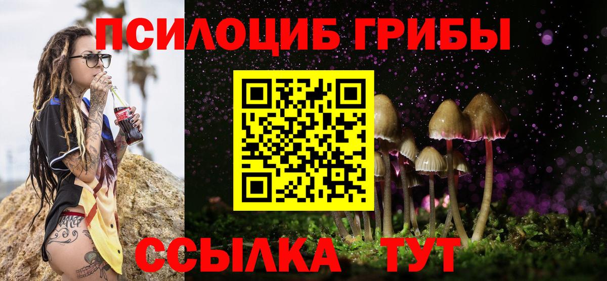 Галлюциногенные грибы Cubensis Назарово